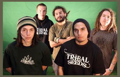 Tribal Seeds